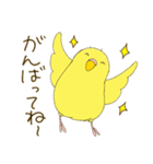 毎日使える☆セキセイインコ I（個別スタンプ：23）