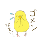 毎日使える☆セキセイインコ I（個別スタンプ：30）