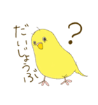 毎日使える☆セキセイインコ I（個別スタンプ：31）