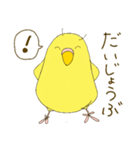 毎日使える☆セキセイインコ I（個別スタンプ：32）