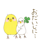 毎日使える☆セキセイインコ I（個別スタンプ：33）