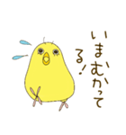 毎日使える☆セキセイインコ I（個別スタンプ：39）