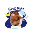 ペット(*ˊᗜˋ*)♡ルンルン（個別スタンプ：1）