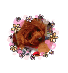 ペット(*ˊᗜˋ*)♡ルンルン（個別スタンプ：3）