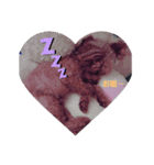 ペット(*ˊᗜˋ*)♡ルンルン（個別スタンプ：7）