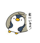 日常で使える、ふっくらペンギン（個別スタンプ：19）