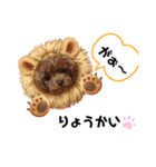 タイニープードル女の子（個別スタンプ：4）