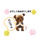 タイニープードル女の子（個別スタンプ：18）