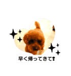 ボーちゃんの1日（個別スタンプ：1）