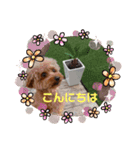 ボーちゃんの1日（個別スタンプ：3）