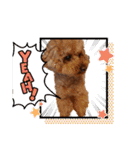 ボーちゃんの1日（個別スタンプ：5）