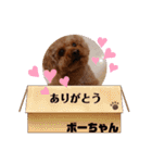 ボーちゃんの1日（個別スタンプ：6）
