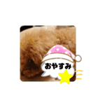 ボーちゃんの1日（個別スタンプ：7）