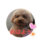 ボーちゃんの1日（個別スタンプ：8）