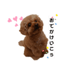 ボーちゃんの1日（個別スタンプ：10）