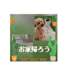 ボーちゃんの1日（個別スタンプ：12）