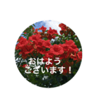 鹿島槍ヶ岳2021（個別スタンプ：2）