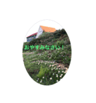 鹿島槍ヶ岳2021（個別スタンプ：8）