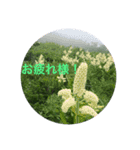鹿島槍ヶ岳2021（個別スタンプ：13）