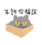 ツリーハウスの猫 4.0（個別スタンプ：25）