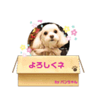 Choco＆Pan（個別スタンプ：1）