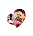 Choco＆Pan（個別スタンプ：4）