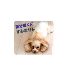 Choco＆Pan（個別スタンプ：8）