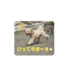 Choco＆Pan（個別スタンプ：10）