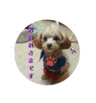 Choco＆Pan（個別スタンプ：11）