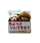 Choco＆Pan（個別スタンプ：14）