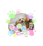 Choco＆Pan（個別スタンプ：16）
