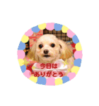 Choco＆Pan（個別スタンプ：20）
