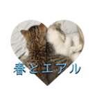 春とエアル（個別スタンプ：1）