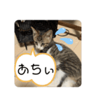 春とエアル（個別スタンプ：8）