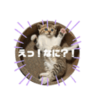 春とエアル（個別スタンプ：9）
