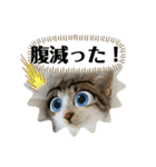 春とエアル（個別スタンプ：12）