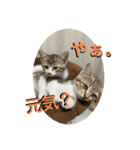 春とエアル（個別スタンプ：14）