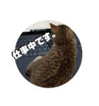 春とエアル（個別スタンプ：18）