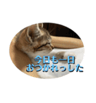 春とエアル（個別スタンプ：25）