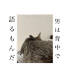 春とエアル（個別スタンプ：36）