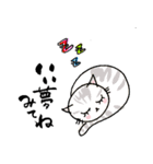 優しい女の子と猫（個別スタンプ：24）