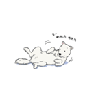 愛犬家御用達、犬語スタンプ（個別スタンプ：1）