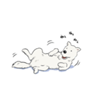 愛犬家御用達、犬語スタンプ（個別スタンプ：6）