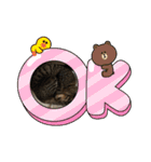 しーにゃんスタンプ②（個別スタンプ：11）
