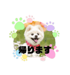 わんことハリネズミ（個別スタンプ：17）