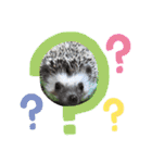 わんことハリネズミ（個別スタンプ：20）