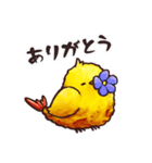 エビフライコトリのエッピさん（個別スタンプ：11）