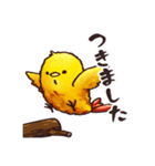 エビフライコトリのエッピさん（個別スタンプ：18）
