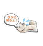 つみれ ①（個別スタンプ：3）