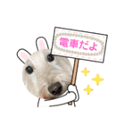 つみれ ①（個別スタンプ：4）